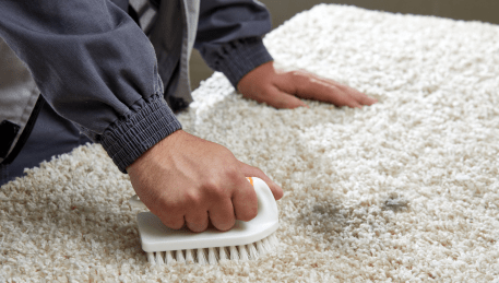 Professional Rug Cleaning Greendale